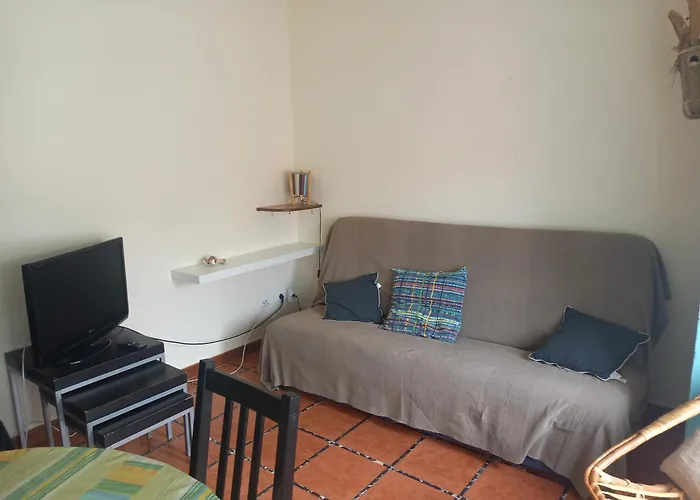 Apartman Puig Sureda 36 *